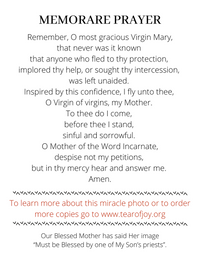Our Lady of the Tear of Joy Prayer Cards