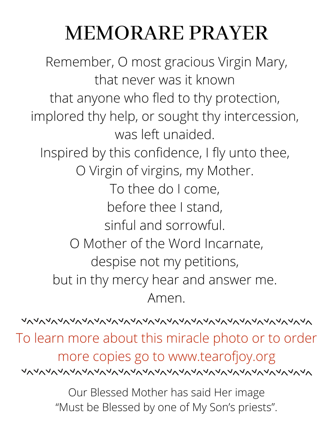 Our Lady of the Tear of Joy Prayer Cards